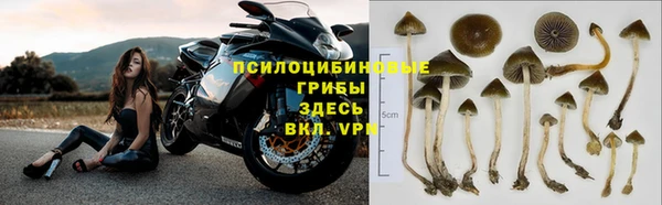 бутик Богданович