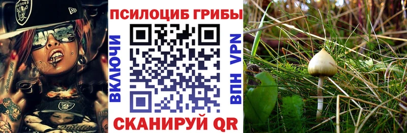 где можно купить наркотик  Донской  Галлюциногенные грибы мухоморы 