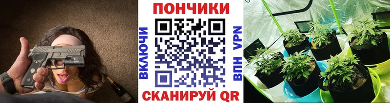 МАРИХУАНА индика Донской